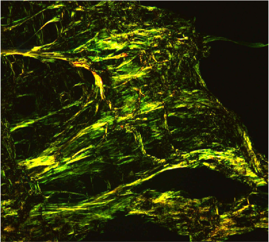Image module